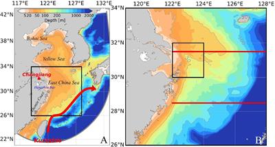 Effects of typhoons on primary production and dissolved oxygen in the East China Sea